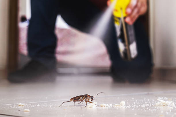 Best Best Pest Control Companies  in Tunkhannock, PA